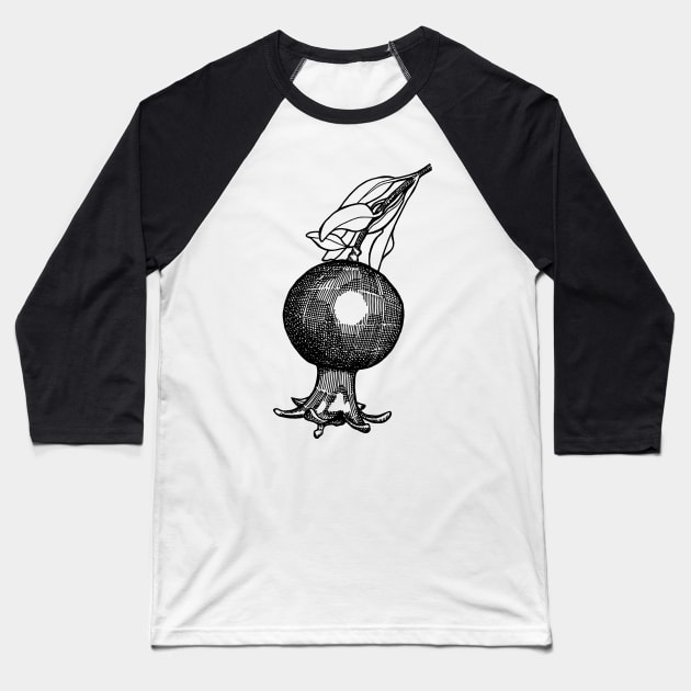 Pomegranate Baseball T-Shirt by senkova